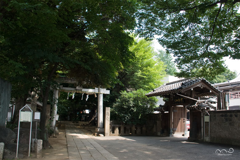 諏訪神社 浄光寺