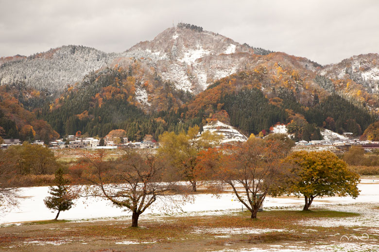 初雪と紅葉の大平山