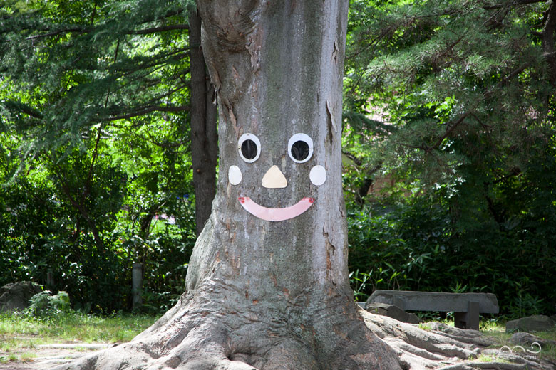 笑顔の木