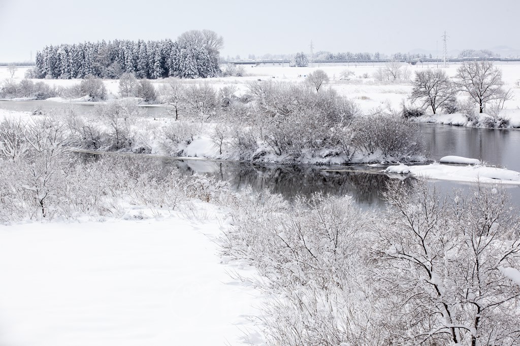 冬の雄物川