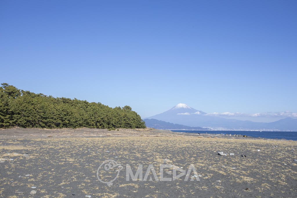 三保松原から見た富士山
