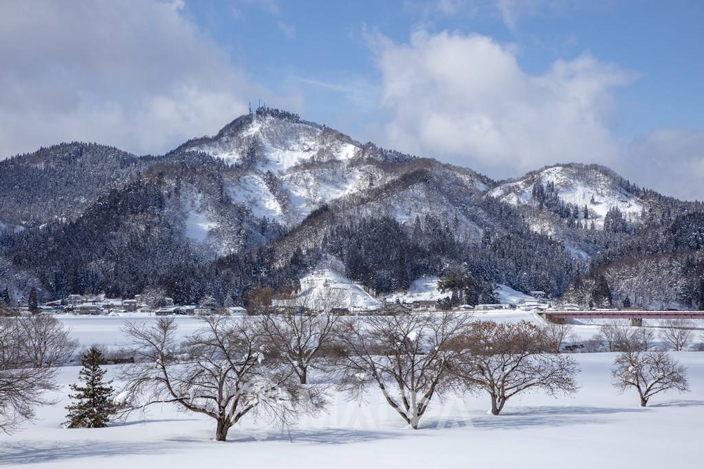 冬の大平山