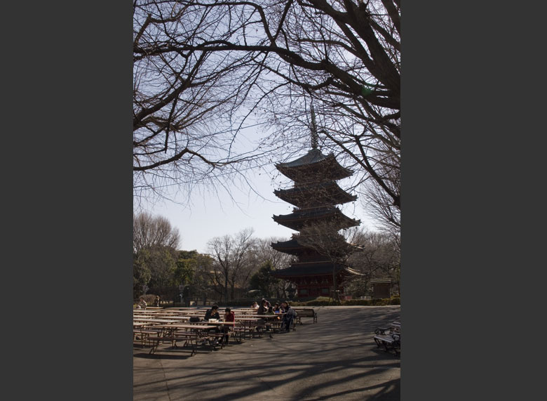 上野動物園 五重塔