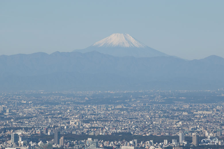 世界遺産 富士山