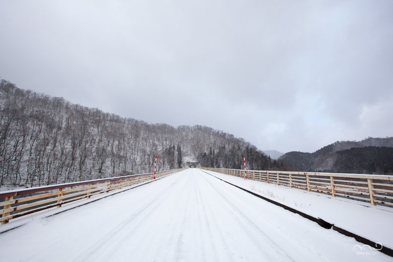 冬の新玉川大橋