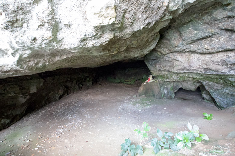 猿島 日蓮洞窟