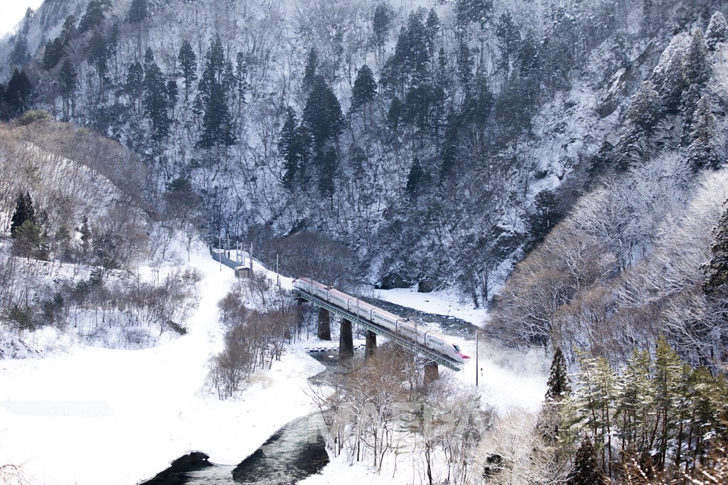 雪の中を走行する秋田新幹線E6系