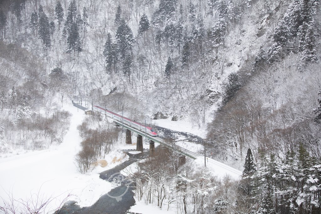 大雪の中走行する秋田新幹線